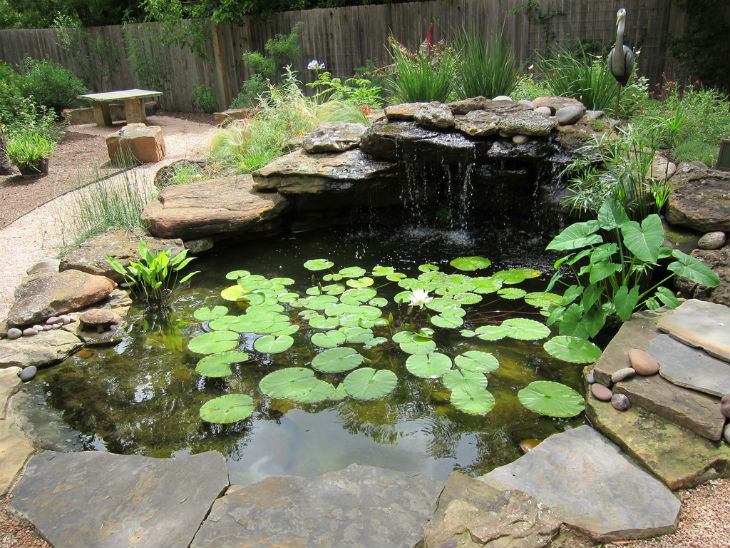 5 Ideas For Garden Pond Designs